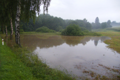 Foto17