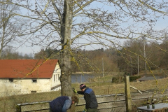 Foto1